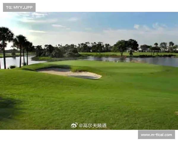 特写：球场设计者汤姆·法齐奥参与翻新工作